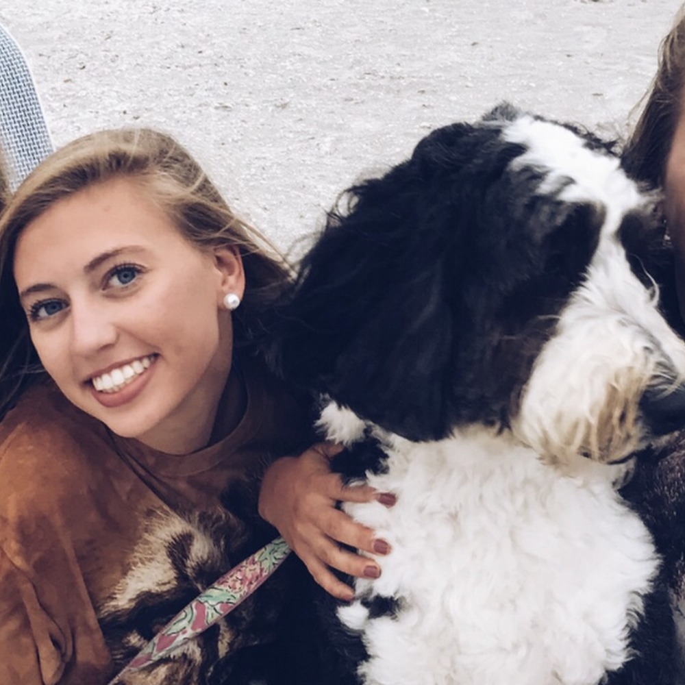 Meet your Posher, Phoebe